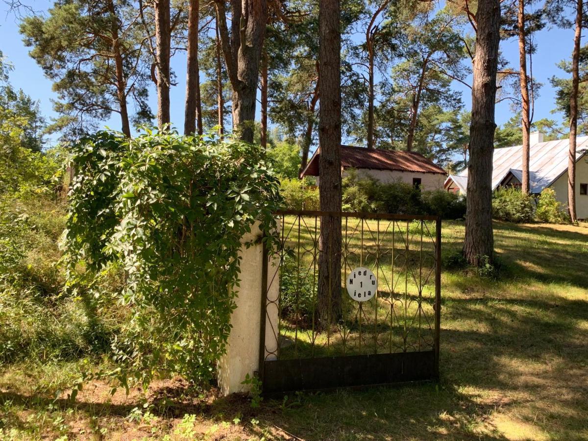 Zem Priedem Villa Lapmezciems Bagian luar foto